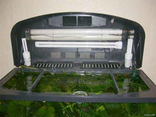 Фото: освещение аквариума под крышкой