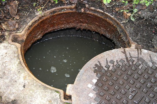 Фото: переполненный канализационный колодец