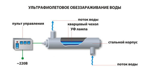 Фото: как работает обеззараживатель воды