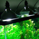 Фото: освещение аквариума на крушке